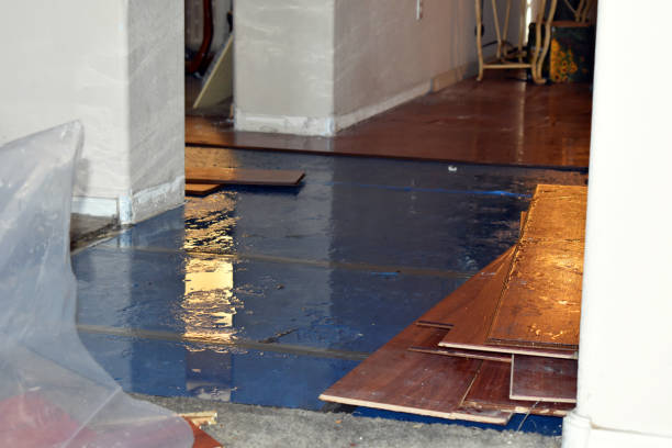Professional Water Extraction technician working in Bascom, OH